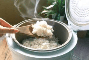 Best of the 10 Cup Rice Cooker